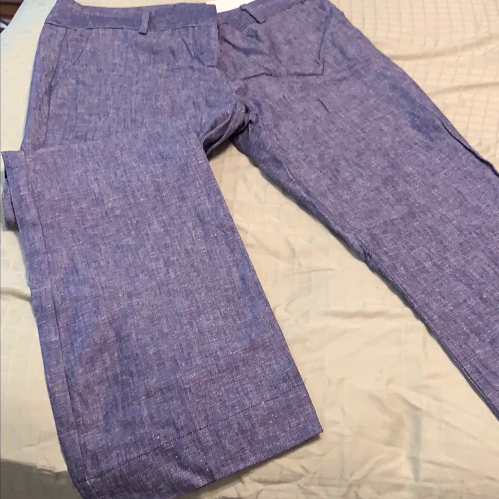 Ann Taylor Loft Pants